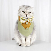 Mājdzīvnieku suņiem un kaķiem siekalu dvielis trīsstūrveida, ka džentlmenis priekšgala no Anglijas priekšauti