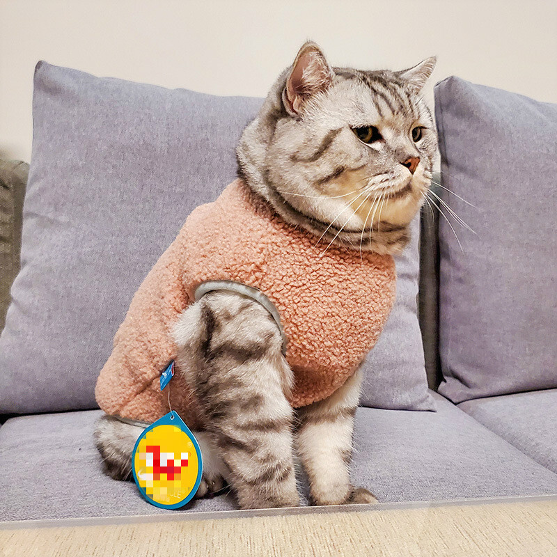 Új macska dzseki őszi téli cicakabát meleg polár kisállatruházat fa csatos szegélyű mellény mellény macskáknak kis háziállatok