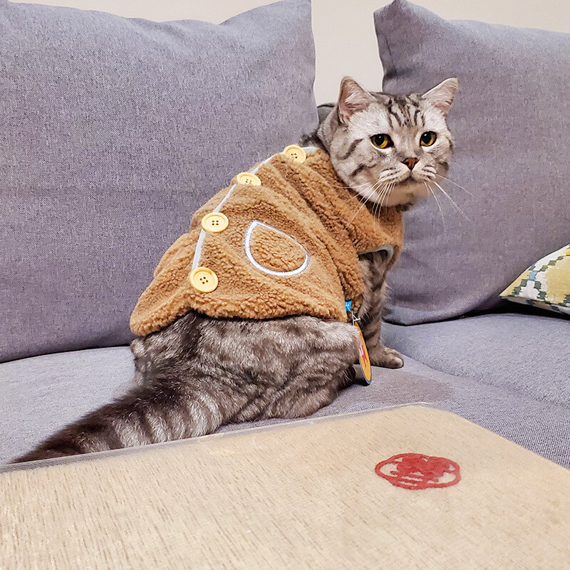 Új macska dzseki őszi téli cicakabát meleg polár kisállatruházat fa csatos szegélyű mellény mellény macskáknak kis háziállatok