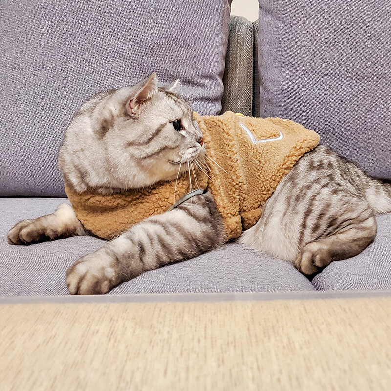 Új macska dzseki őszi téli cicakabát meleg polár kisállatruházat fa csatos szegélyű mellény mellény macskáknak kis háziállatok