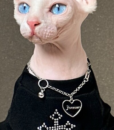 Haine pentru pisici Devon Rex Vesta neagră cu împânzire cu diamante strălucitoare pentru pisici de vară Haine fără păr Haine pentru pisici Sphynx