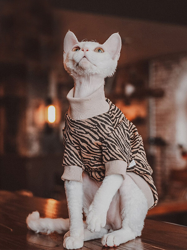 Pulover cu dungi pentru pisică Sphynx Tricou fără păr pentru pisică Haine Manta confortabilă din bumbac pentru pisica Devon Rex Vestă moale pentru îmbrăcăminte de primăvară