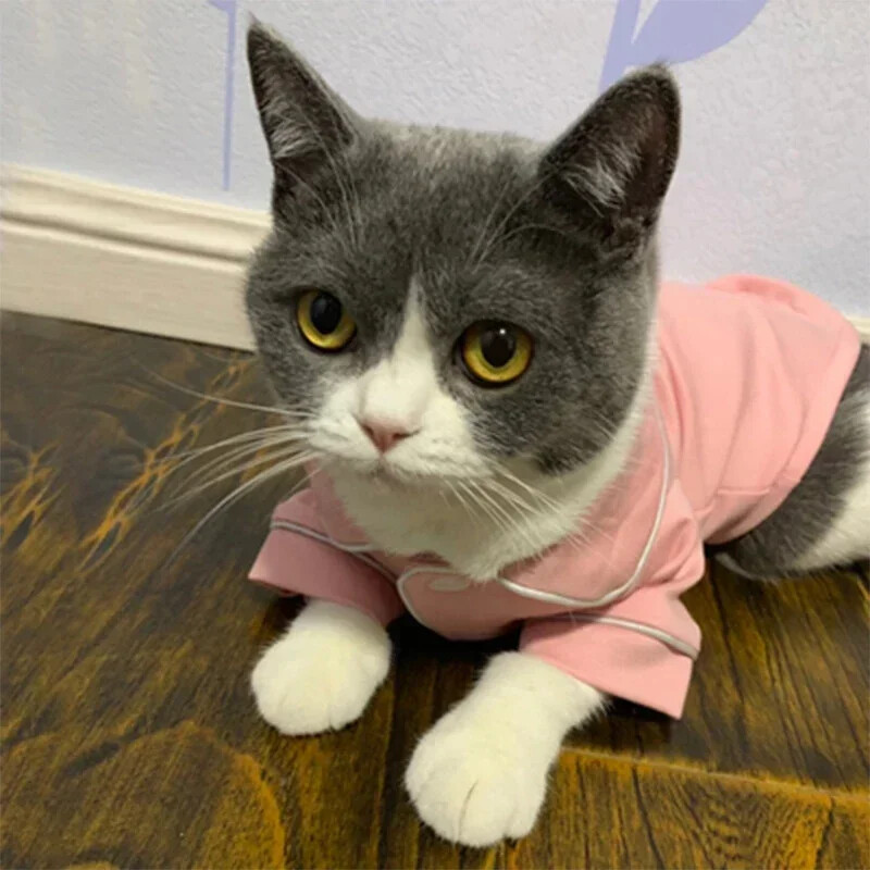 Ziemassvētku mājdzīvnieku kaķu kostīmu apģērbi kaķiem ziemas Kedi Katten Sphynx džemperis Hoodie Uzvalks Mascotas Apģērbs Ropa Para Gato