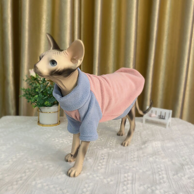 Beplaukių kačių rūbai Pūkuota vilna izoliacija sustorėjusi šilta sfinkso katė Devon Reks drabužiai Žieminiai naminiai kačiukai Biliaus drabužiai