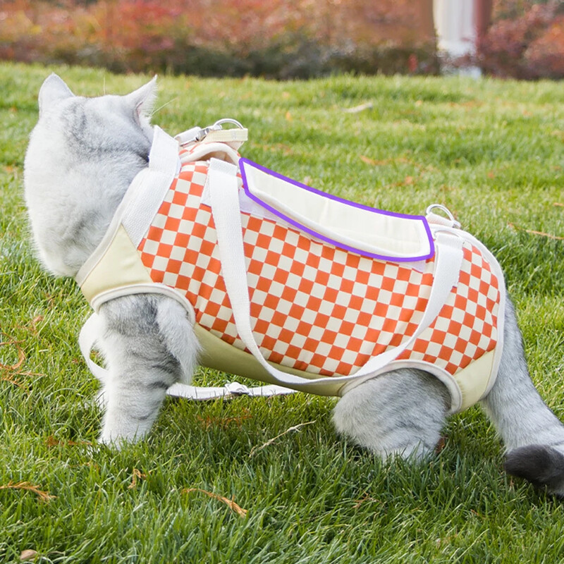 Kačių nešiojimo krepšys su keturiomis skylėmis kojoms Nešiojama miela naminių kačiukų vaikščiojimo rankinė Nešiojamas katės krepšys lauko kelionių nešiojimui