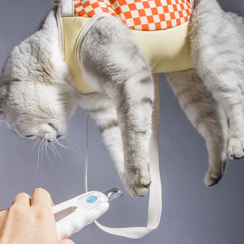 Kačių nešiojimo krepšys su keturiomis skylėmis kojoms Nešiojama miela naminių kačiukų vaikščiojimo rankinė Nešiojamas katės krepšys lauko kelionių nešiojimui