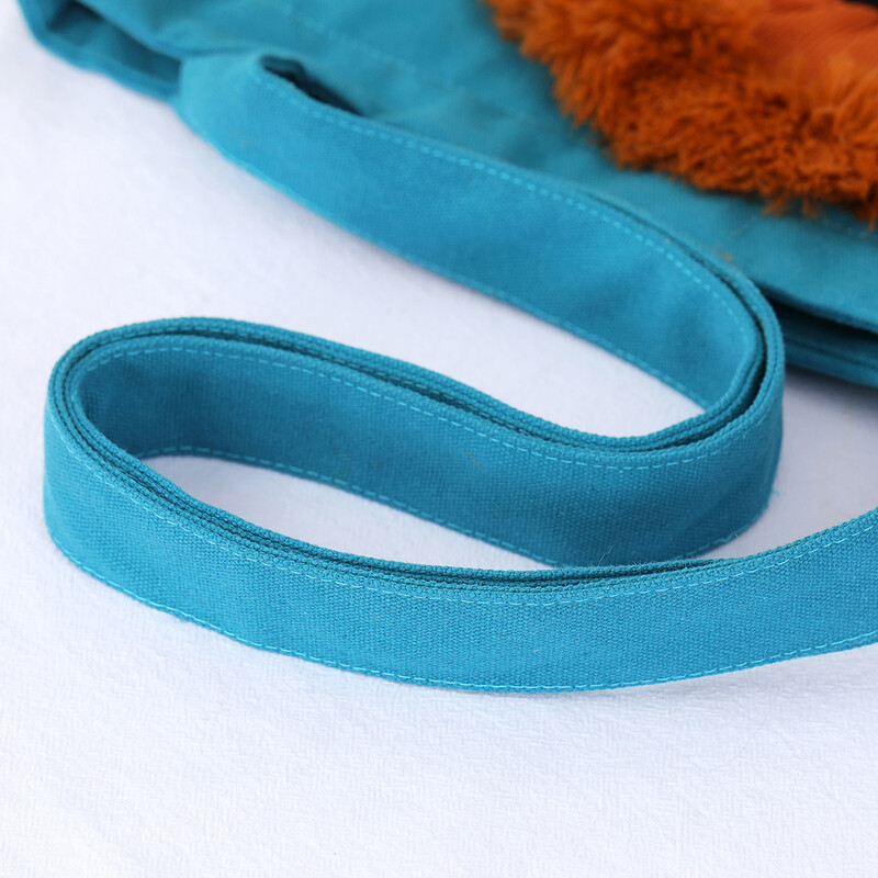 Curea moale pentru animale de companie Design cu leu, portabil, respirabil, cangur, pisică, câine, geantă de călătorie cu fermoar de siguranță pentru animale de companie