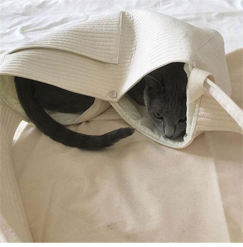 Kačių krepšys Crossbody Canvas Didelės talpos naminių gyvūnėlių kuprinė Kačių išvykų krepšys Kačių krepšys Nešiojamas pečių krepšys Katės mokyklinis krepšys