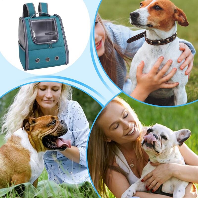 Rucsac pliabil pentru animale de companie, câine, pisică, geantă portabilă de transport de călătorie, design pliabil pentru câini și pisici, pentru plimbări, ieșiri, șoferi, călătorii