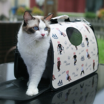 Fashion Cat Puppy Carrier Τσάντες Αδιάβροχη αναπνεύσιμη τσάντα για μικρούς σκύλους Γάτες Γατάκια για υπαίθριο ταξίδι για περπάτημα