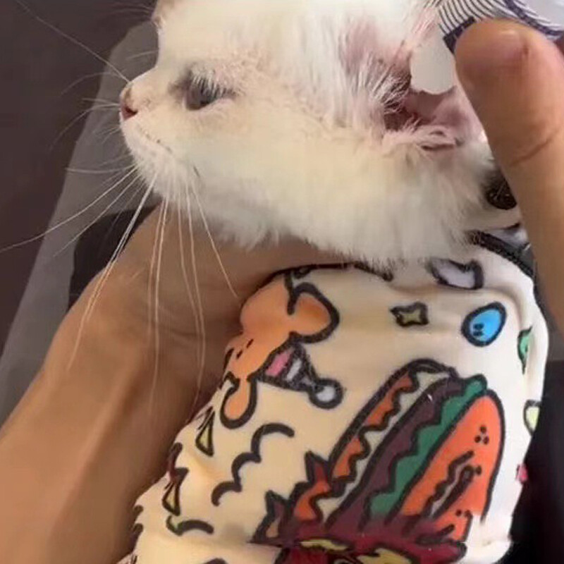 Kaķa fiksēta auduma karikatūra, apdrukāta, pašlīmējoša, pret skrāpējumiem pret kodumu un izkļūšanu daudzfunkcionāls kaķu ietīšanas auduma mājdzīvnieku fiksētais rīks