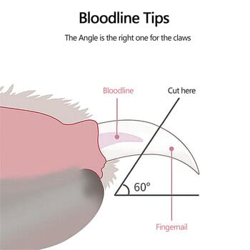 Επαγγελματικό ψαλίδι νυχιών για γάτα Νυχοκόπτη για σκύλους κατοικίδιων ζώων Νυχοκόπτη νυχιών δακτύλων Προμήθειες περιποίησης κατοικιδίων Gadgets για ζώα Προμήθειες για κατοικίδια