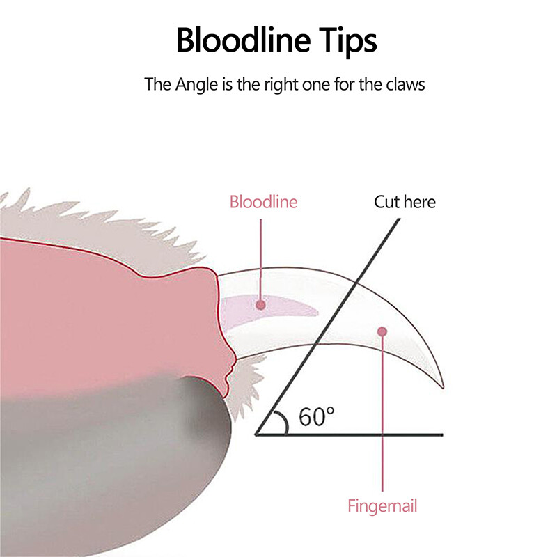 Profesionalios kačių nagų žirklės naminių šunų nagų kirpimo mašinėlės kojų pirštų nagų kirpimo mašinėlės naminių gyvūnėlių priežiūros reikmenys.