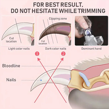 Νυχοκόπτη για κατοικίδια LED Light - Ιδανικό για το κόψιμο νυχιών και νυχιών γάτας και σκύλου, μεγέθυνση 5x, μπορεί να χρησιμοποιηθεί ως νυχοκόπτη, Qu