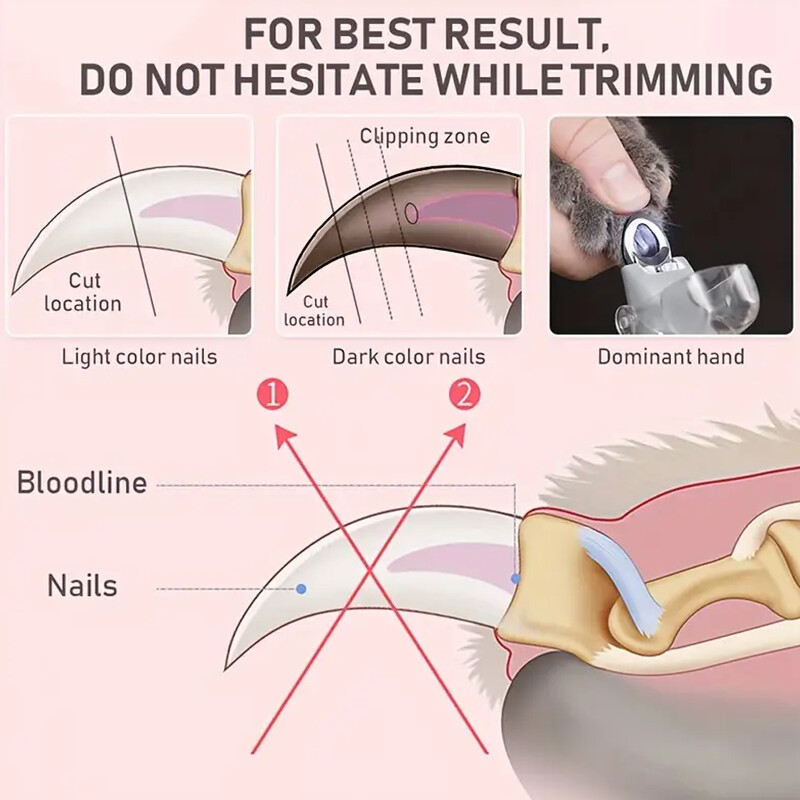 LED gaismas mājdzīvnieku nagu grieznes — lieliski piemērotas kaķu un suņu nagu un spīļu apgriešanai, 5x palielinājums, var izmantot kā nagu grieznes, Qu