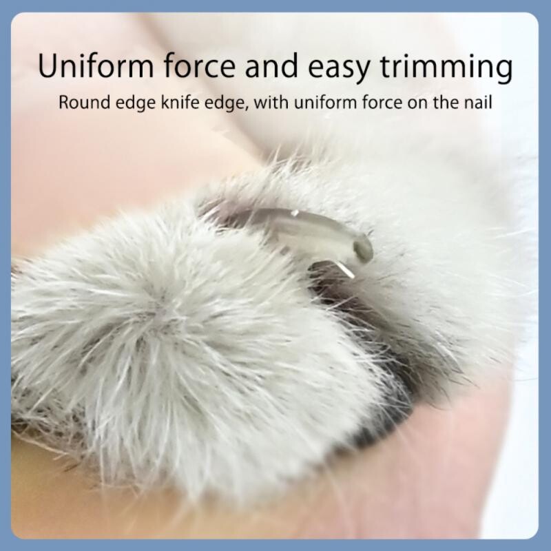 Mājdzīvnieku kaķu suņu nagu griezējs nerūsējošā tērauda kopšanas šķērveida griezējs nagu griezējs profesionāļiem suņu nagu griezējs