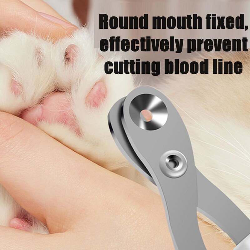 Professionaalsed kasside küünekäärid lemmikloomade koerte küünekäärid varvasküüniste trimmer Lemmikloomade hooldustarbed Väikeste koerte tooted Koerte vidinad