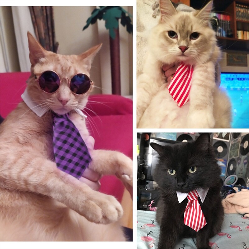 Helovino naminis šuo, kepuraitė, šaliko rinkinys Moliūgų kaukolė Pet Bandanas šunų katė Juokingas šventinis rinkinys naminių gyvūnėlių reikmenys vakarėlio fotografijos reikmenys