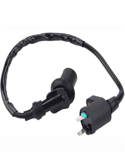 Universali 50cc 125cc 250cc TRX300 GY6 motociklo uždegimo ritės švino mopedo dviračio motorolerio uždegimo ritė automobilio dalis