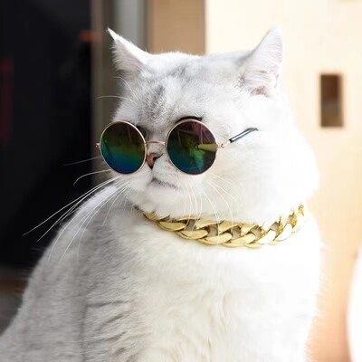 Šunų akiniai nuo saulės Pet Cat Produktai Senoviniai apvalios širdies šuniukų kačiuko galvos apdangalai Akių dėvėjimas Nuotraukų rekvizitai Dekoras šunims Akiniai Akiniai