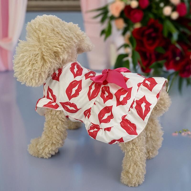 Rūbai iš rožių Patogus audinys Madingi mieli šunų drabužiai mažiems šunims Lankas Drabužiai Mieli naminių gyvūnėlių drabužiai Naminių gyvūnėlių vasarinė suknelė augintinė