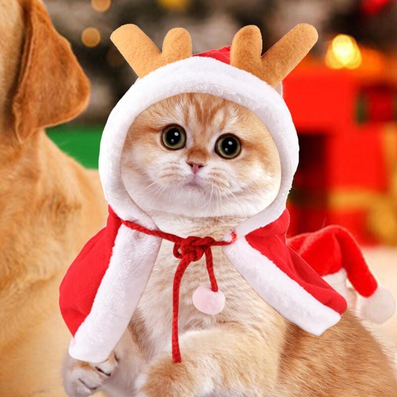 Kalėdinis katės šuns kostiumas Kalėdų elementai Naminių gyvūnėlių kyšulys Kalėdų senelio apsiaustas Kelių dydžių šunų kostiumas šuniuko kyšulis Šventinė šventė