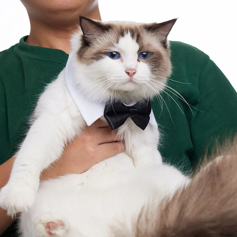 Animale de companie reglabile câine pisică papion Costum pentru animale de companie guler cravată pentru câini de talie mică Accesorii pentru îngrijirea cățelui