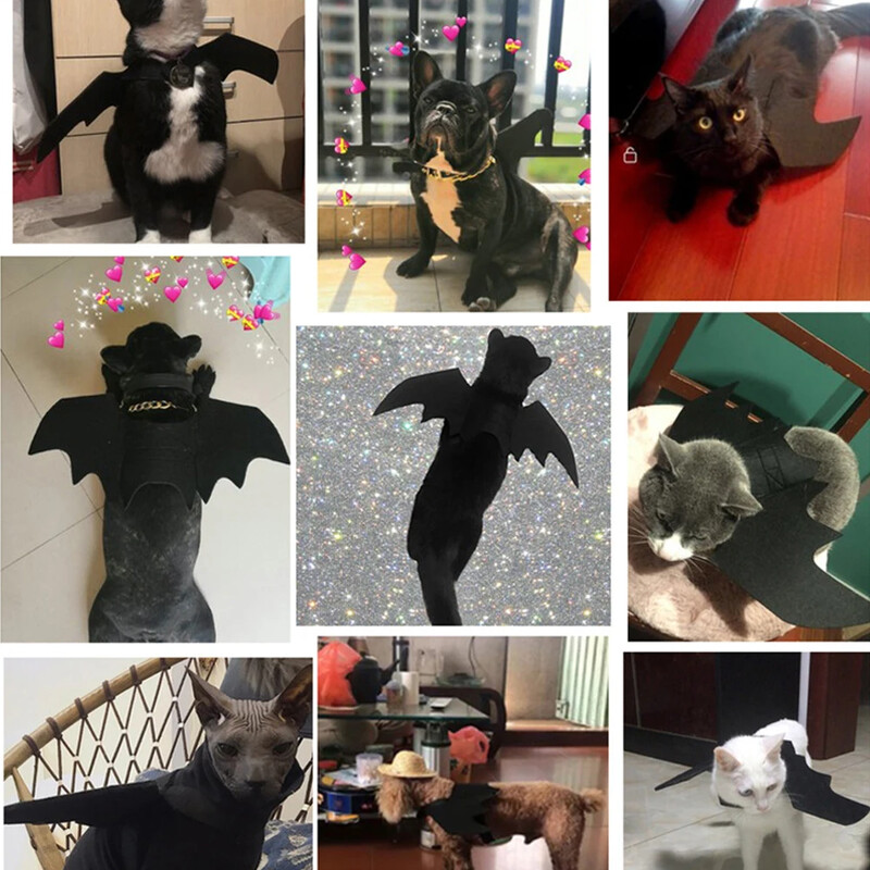 Helovino drabužiai naminiams gyvūnėliams Juodi šikšnosparnio sparnai diržų kostiumas, mielas dirbtinis šikšnosparnio sparnas Cosplay kačių šunų Helovino vakarėlis naminių gyvūnėlių reikmenims
