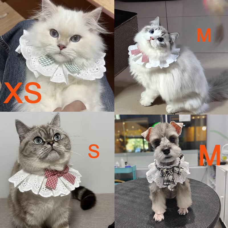 Perlový obojok pre psa, drahokamy, hodvábny svadobný, mačka, šteniatko, stuha, šatka, prívesok, mašle pre domáce zvieratá, náhrdelník, saténový, nový, mačiatko, doplnky, motýlik, darček