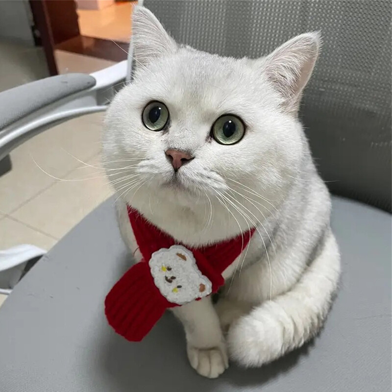 Animacinio filmo meškiuko spausdinimas kačių šunų šalikas, apsaugantis nuo atsiskyrimo naminių gyvūnėlių kaklo šalikas mažiems šunims šuniukas kačiukas Naujųjų metų Kalėdų dovanos