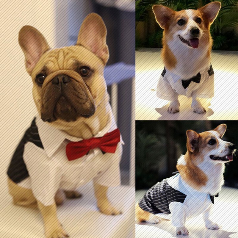 Câine Gentleman Costum de nuntă Haine Cămașă formală Tinuta pentru animale de companie Halloween Crăciun Costum pentru câini pentru câini de talie mică Tuxedo cu papion