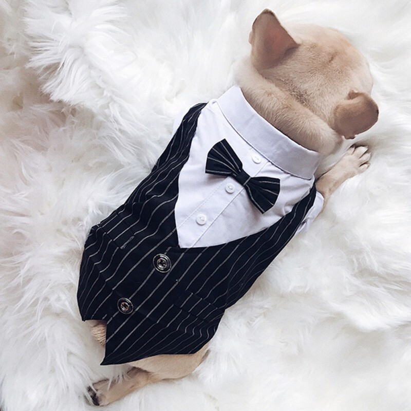 Câine Gentleman Costum de nuntă Haine Cămașă formală Tinuta pentru animale de companie Halloween Crăciun Costum pentru câini pentru câini de talie mică Tuxedo cu papion