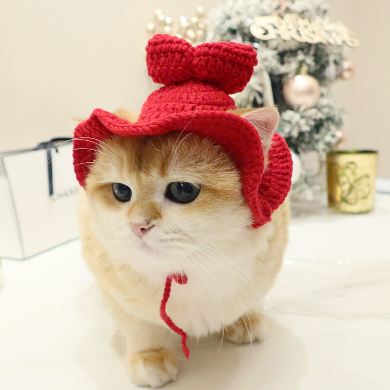 Kaķa cepure Elastīga Jauka, adīta cepure Silta, smieklīga galvas vāka ballīte Fotosesijas rekvizīti Kaķēnu Kospleja kostīmu Kaķu aksesuāri