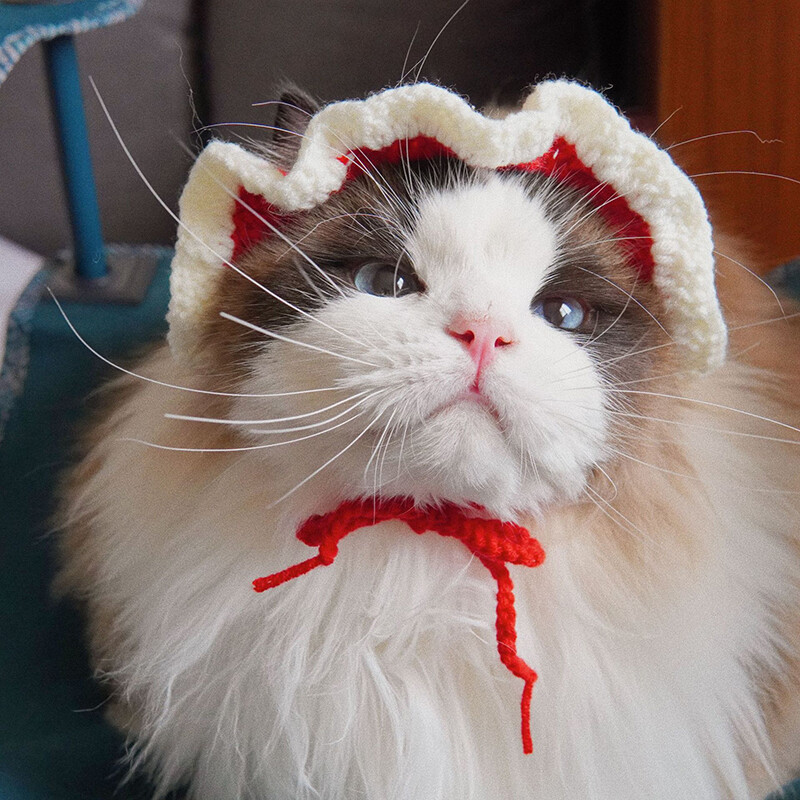 Kaķa cepure Elastīga Jauka, adīta cepure Silta, smieklīga galvas vāka ballīte Fotosesijas rekvizīti Kaķēnu Kospleja kostīmu Kaķu aksesuāri