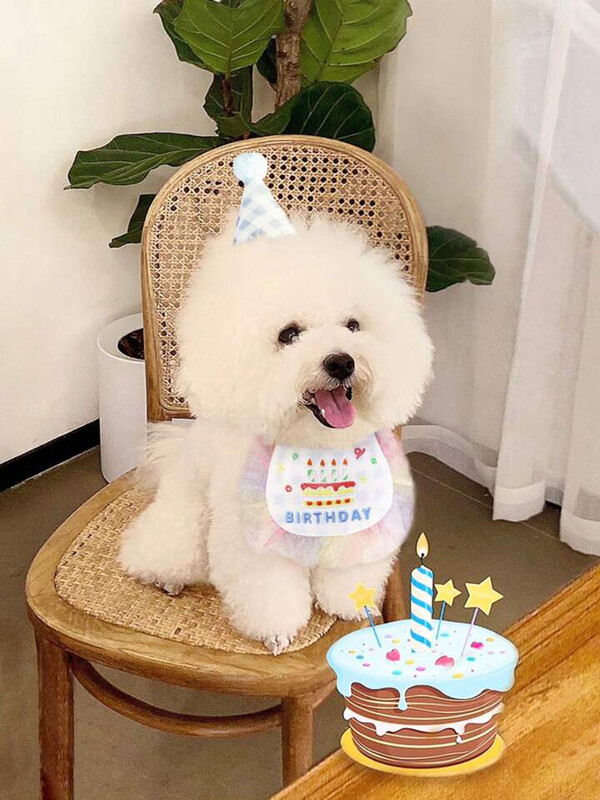 Bavete și pălărie de petrecere pentru aniversarea animalelor de companie, pisică, câine, dantelă, saliva, prosop, mini bandană pentru câini, eșarfă, articole de îmbrăcare pentru ziua de naștere a câinelui