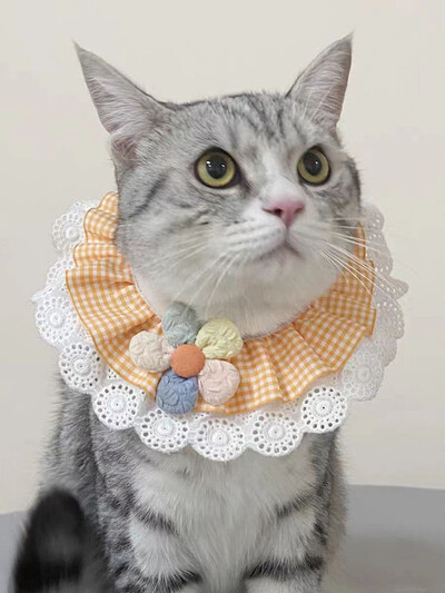 Mājdzīvnieks Bib Kaķis Suns Ziedu Šalle Jauki Suņi Siekalu dvielis Kaķa kakla lakats Mājdzīvnieku saģērbšanas piederumi