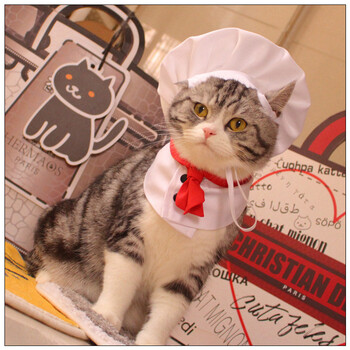 Pet Cooking King Hat Облекло за готвач Комплект шапки Котка Куче Рокля за трансформация Сладка снимка Декорация Шапка Куче Костюм Аксесоари за домашни любимци