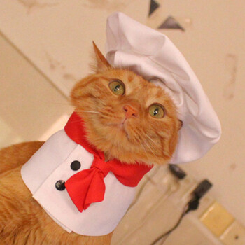 Pet Cooking King Hat Облекло за готвач Комплект шапки Котка Куче Рокля за трансформация Сладка снимка Декорация Шапка Куче Костюм Аксесоари за домашни любимци