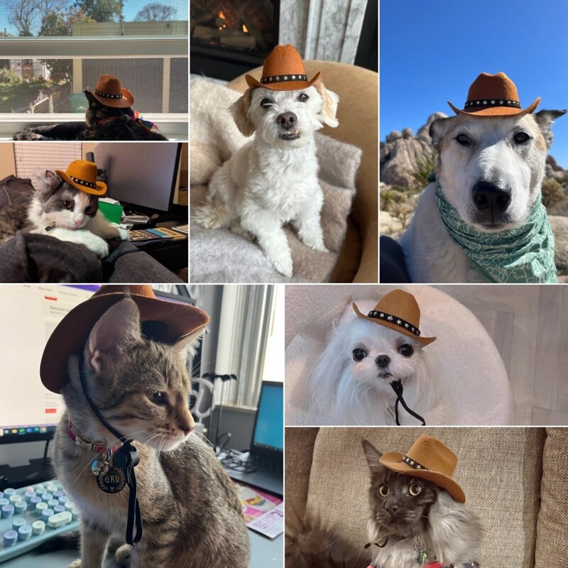 Kućni ljubimac, pas, mačka, kaubojski šešir, kaubojska odjeća, štene, podesivi šešir, prikladan za male pse i mačke, fotografija za rođendansku zabavu