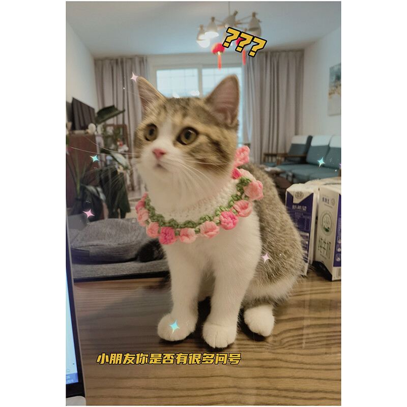 Mielas rankomis austas katės ir šuns antkaklis vilnonis megztas katės antkaklis mielas katės ir šuns karoliai augintinio antkaklis Katės karoliai