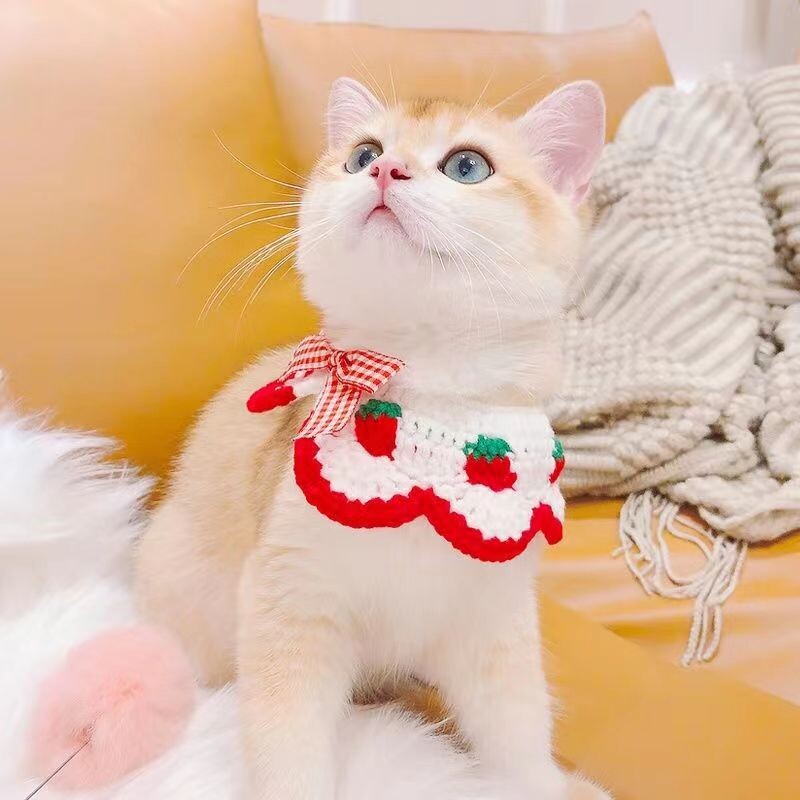 Šunų vilnos austas lankas skara, braškių raudona languota, katė, augintinio puošmena, antkaklis, naminių gyvūnėlių reikmenys, priedai