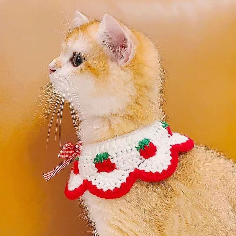 Šunų vilnos austas lankas skara, braškių raudona languota, katė, augintinio puošmena, antkaklis, naminių gyvūnėlių reikmenys, priedai