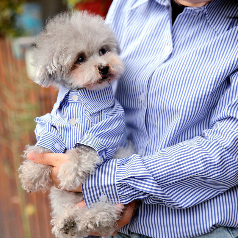 Svītrains krekls suņiem Pavasaris un vasara Franču buldogu mājdzīvnieku apģērbi Luksusa modes kucēna kostīms Maza suņa apģērbs Suņa apģērbs