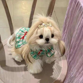 Карирана риза в стил INS Пола Pet princess Dress Dog Vest Love Tie Pet Clothing Dog Costume Supplies Skirt