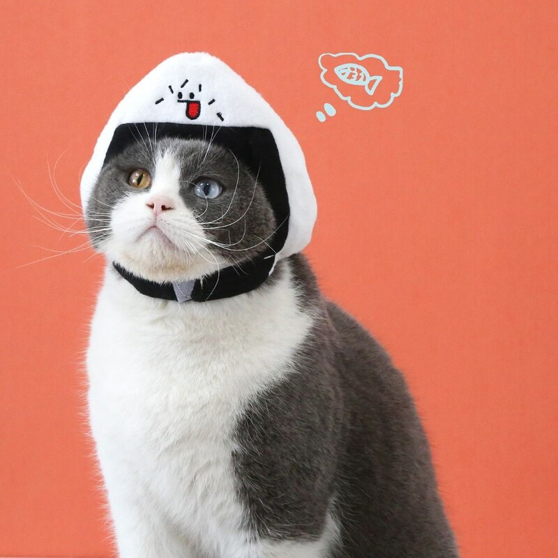 Kūrybingas japoniško stiliaus Taiyaki galvos apdangalas Minkštas animacinis kačių galvos apdangalas Patogi kalėdinė kepurė augintiniui