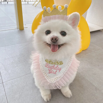 INS Pet Supplies Dog Birthday Mouth Towel Party Triangle Towel Pawty Cat Dog Crown Шапки Сладки шапки Аксесоари за кученца