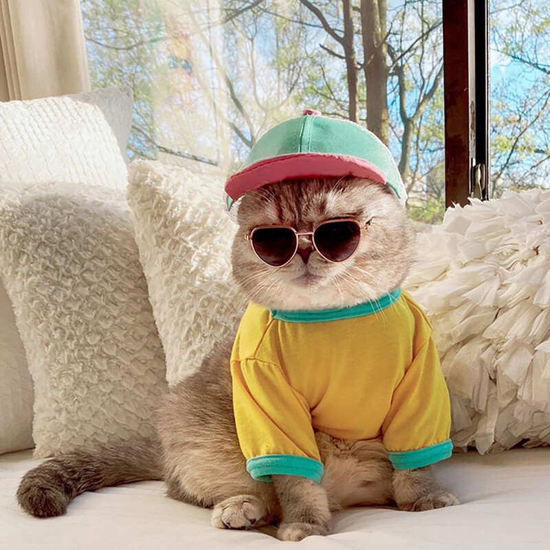 Šunų akiniai nuo saulės Kačių naminių gyvūnėlių gaminiai Puikūs vintažiniai apvalūs atspindžiai akių akiniai mažiems šunims, katėms, augintiniams Nuotraukos rekvizitai Priedai