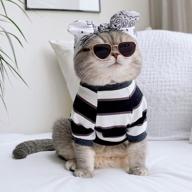 Šunų akiniai nuo saulės Kačių naminių gyvūnėlių gaminiai Puikūs vintažiniai apvalūs atspindžiai akių akiniai mažiems šunims, katėms, augintiniams Nuotraukos rekvizitai Priedai