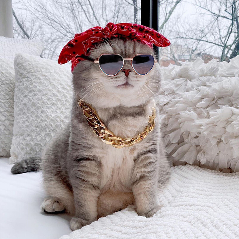 Šunų akiniai nuo saulės Kačių naminių gyvūnėlių gaminiai Puikūs vintažiniai apvalūs atspindžiai akių akiniai mažiems šunims, katėms, augintiniams Nuotraukos rekvizitai Priedai