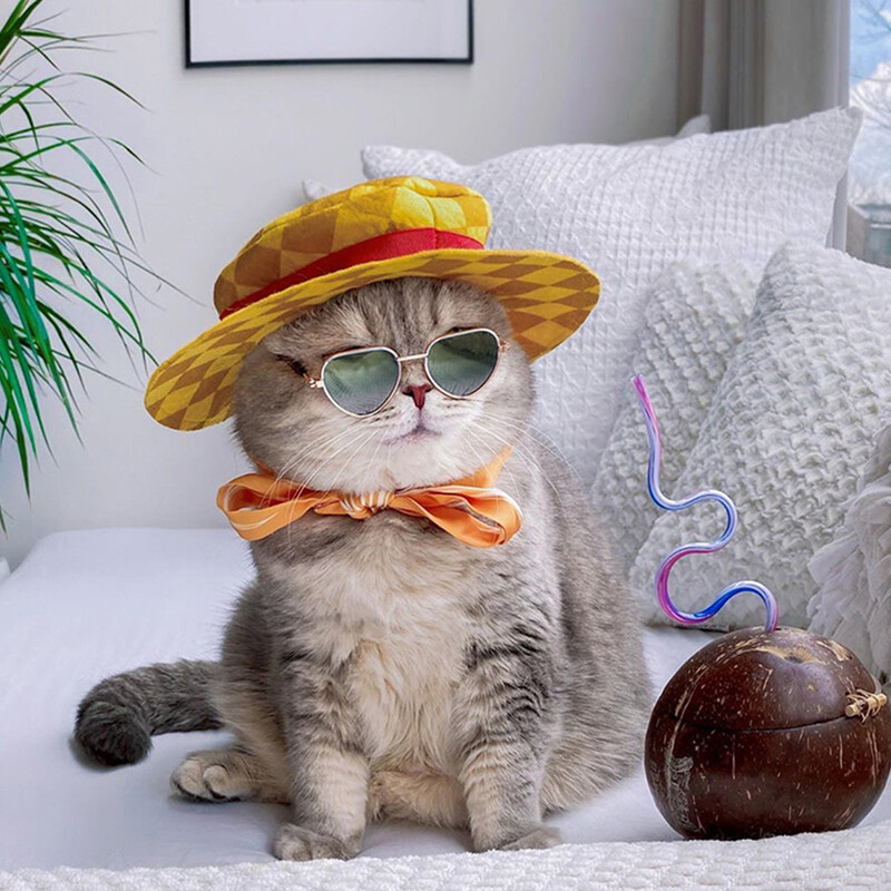 Šunų akiniai nuo saulės Kačių naminių gyvūnėlių gaminiai Puikūs vintažiniai apvalūs atspindžiai akių akiniai mažiems šunims, katėms, augintiniams Nuotraukos rekvizitai Priedai